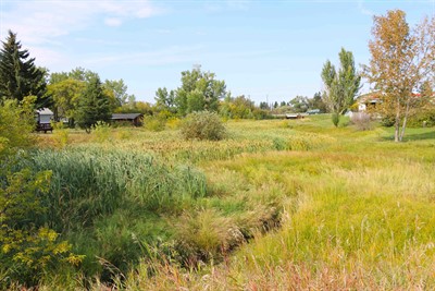 Bruderheim wetland